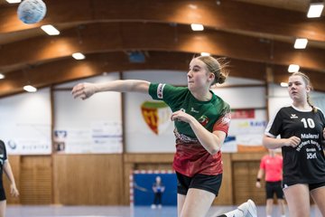 Bild 173 - wBJ HSG Kremperheide/Muensterdorf - HSG Joerl-Doppeleiche Vioel : Ergebnis: 34:23